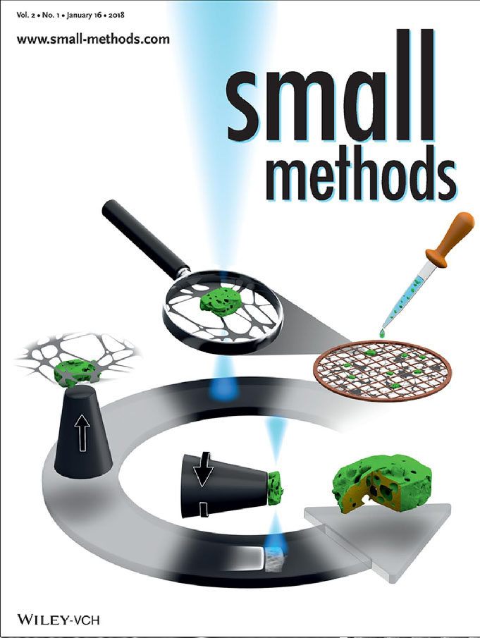 Towards entry "New tomography technique developed at CENEM highlighted on the cover of Small Methods"
