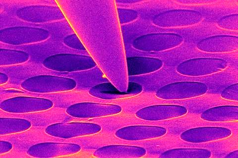 Towards entry "Novel method for in situ cleaning of 2D-materials developed by CENEM members and published in the Nature group"