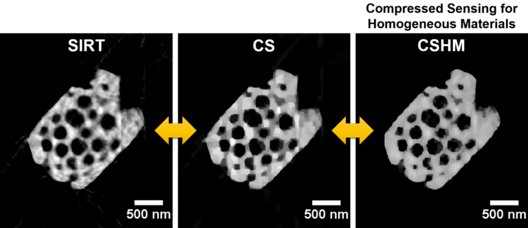 Improving reconstructions in nanotomography via mathematical optimization