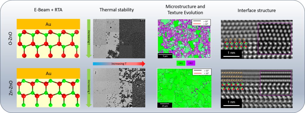 IMN/CENEM researchers reveal the influence of substrate polarity on metal thin film growth characteristics