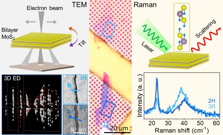 Correlative TEM-Raman study exposes unexpected stacking phases and dislocations in bilayer MoS₂
